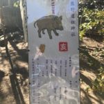 🎍明けましておめでとうございます🎍