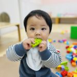 新しくお友達がやってきました♫