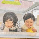 ラディッシュが育ってます✨